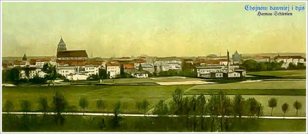 Rok 1900